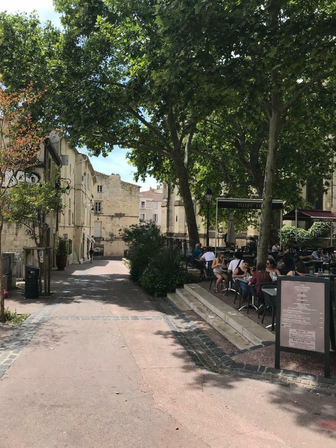 Superbe ! Appart T2 - Centre Historique & Tram - Situation Ideale Lägenhet Montpellier Exteriör bild
